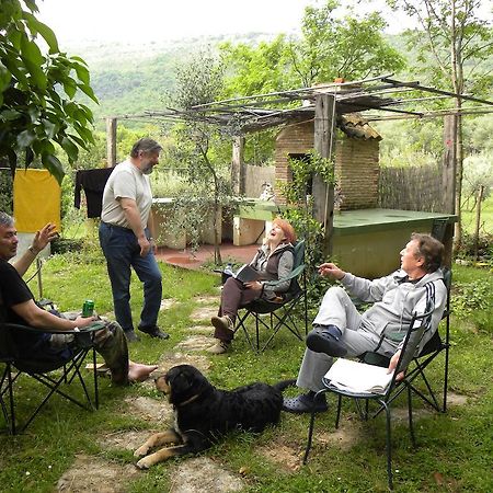 Holiday Home Botanica Drenje  ห้อง รูปภาพ